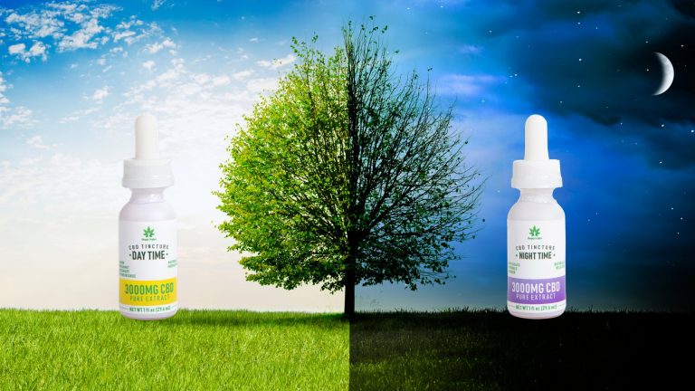 2bff55 da90488638664cb88de24cdc9998a365mv2 768x432