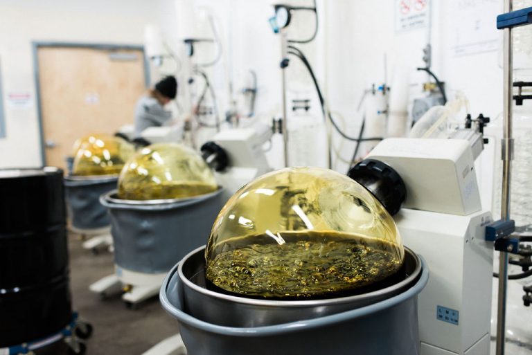 7f55cc 8d24c2e7e75f4f038c178d31bfc67044mv2 768x513