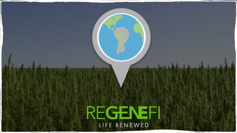 blog regenefi where 1024x576 1 768x432