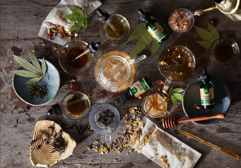 immortaltortoise 768x536