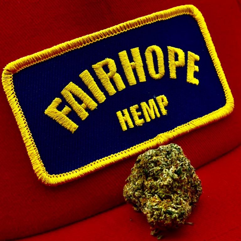 30.52317283047342 87.90063497936634 768x768