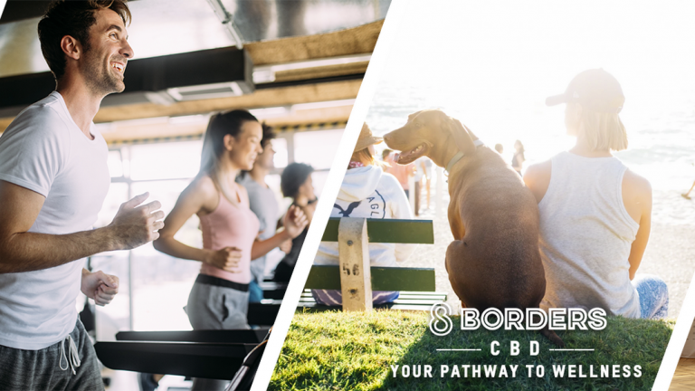 8 Borders 768x432