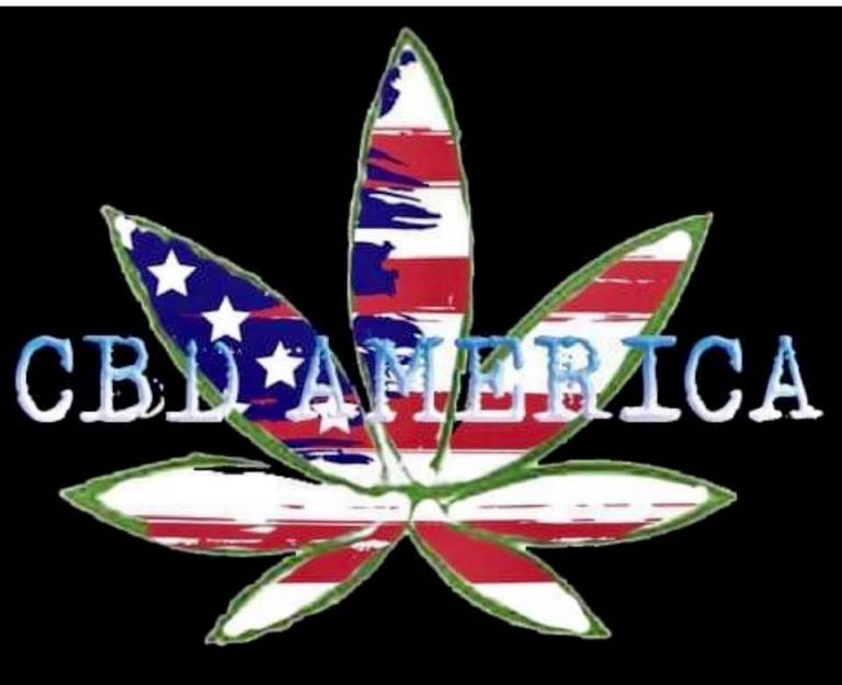 CBD America The Original CBD Store 768x625