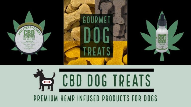 CBD Dog Treats 768x432