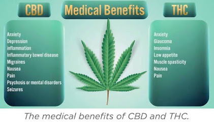 Orlando Marijuana Clinic