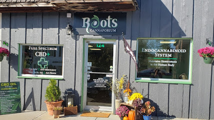 Roots Cannaporium CBD store