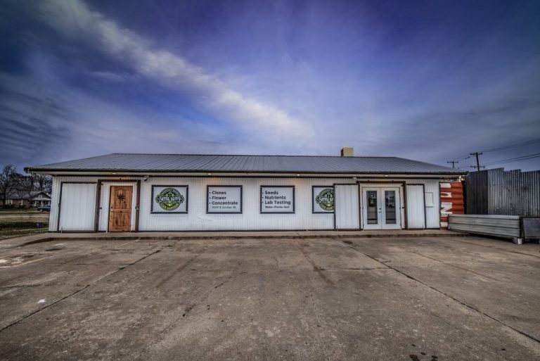 Sativa Savvy 768x513