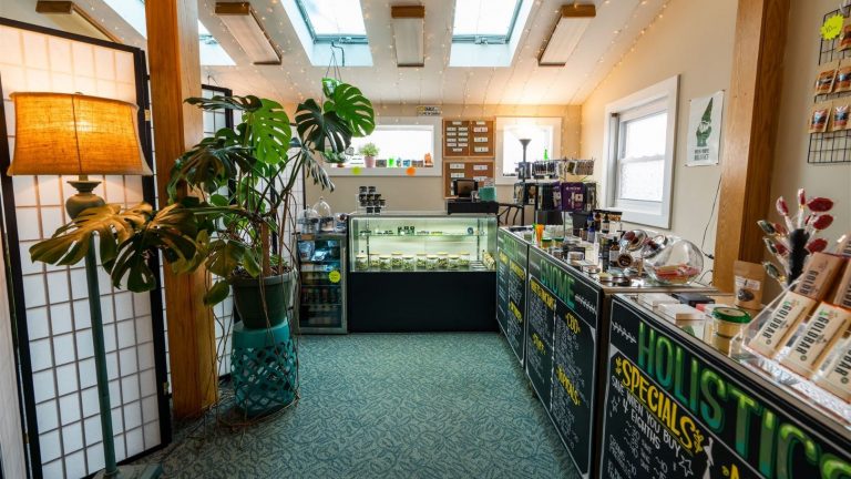 Green Gnome Holistics 768x432